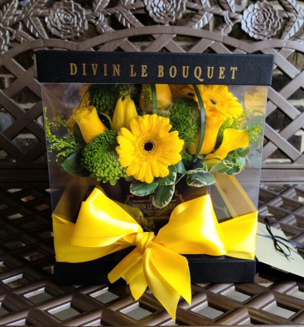 Clear Square Spring Box Yellow Color Theme